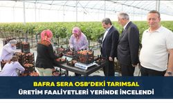 Bafra Sera OSB’deki Tarımsal Üretim Faaliyetleri Yerinde İncelendi