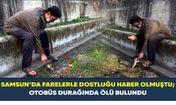 Samsun’da farelerle dostluğu haber olmuştu; otobüs durağında ölü bulundu