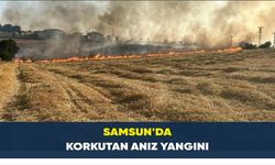 Samsun’da korkutan anız yangını