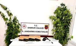 Samsun Ayvacık'da uyuşturucu operasyonu