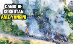 Canik'de korkutan anız yangını