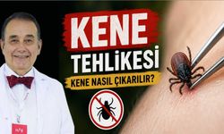 'Kene' tehlikesi; Kene nasıl çıkarılır?