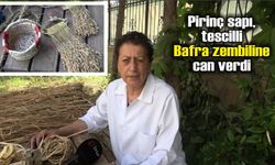 Pirinç sapı, tescilli Bafra zembiline can verdi