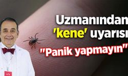 Uzmanından 'kene' uyarısı: 'Panik yapmayın'