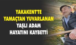 Yakakent'te yamaçtan yuvarlanan yaşlı adam hayatını kaybetti