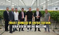 Ziraat Bankası ve Bafra TSO’dan Sera OTB’de Ortak İnceleme