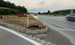 Kavak'da köpeğe çarpan motosikletteki sürücü ve yolcu yaralandı