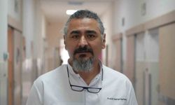 Uzmanından sıcak hava uyarısı; Asfalt patileri yakıyor, pisi pisi otu tehlike saçıyor: