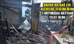 Bafra'da bağ evi alevlere teslim oldu: 1 büyükbaş hayvan telef oldu