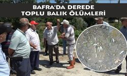 Bafra'da derede toplu balık ölümleri: Mahalleli kalıcı çözüm istiyor