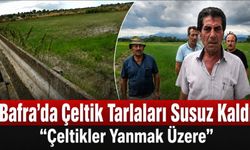 Bafralı çeltik üreticilerinden Su Çağrısı: “Çeltikler Yanmak Üzere”