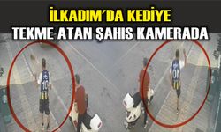 İlkadım'da kediye tekme atan şahıs kamerada