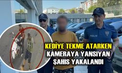 Kediye tekme atarken kameraya yansıyan şahıs yakalandı