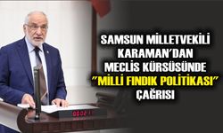 Samsun Milletvekili Karaman'dan Meclis Kürsüsünde "Milli Fındık Politikası" Çağrısı