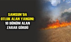 Canik'de otluk alan yangını: 10 dönüm alan zarar gördü
