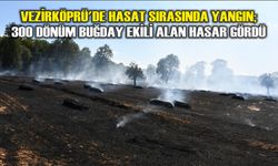 Vezirköprü'de hasat sırasında yangın; 300 dönüm buğday ekili alan hasar gördü
