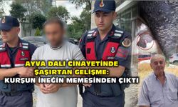 Ayva dalı olayında şaşırtan gelişme: Kurşun ineğin memesinde çıktı