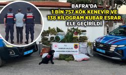BAFRA’DA 1 BİN 757 KÖK KENEVİR VE 138 KİLOGRAM KUBAR ESRAR ELE GEÇİRİLDİ