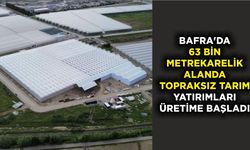 Bafra'da 63 bin metrekarelik alanda topraksız tarım yatırımları üretime başladı