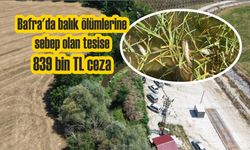 Bafra'da balık ölümlerine sebep olan tesise 839 bin TL ceza