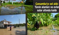 Çarşamba'yı sel aldı: Tarım alanları ve evler sular altında kaldı