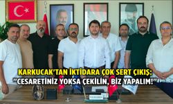 Karkucak'tan iktidara çok sert çıkış: "Cesaretiniz yoksa çekilin, biz yapalım!"