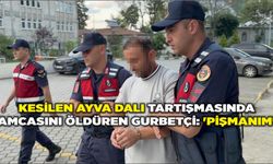 Kesilen ayva dalı tartışmasında amcasını öldüren gurbetçi: 'Pişmanım'