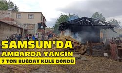 Samsun'da ambarda yangın: 7 ton buğday küle döndü