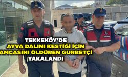 Tekkeköy'de ayva dalını kestiği için amcasını öldüren gurbetçi yakalandı