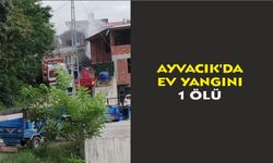 Ayvacık'da ev yangını: 1 ölü