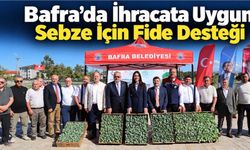 Bafra’da İhracata Uygun Sebze İçin Fide Dağıtıldı