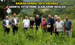 Başkan Serdal Sefa Kocabaş, Aronya Yetiştirme Alanlarını İnceledi