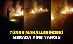 Türbe Mahallesindeki Merada Yine Yangın