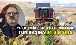 Yağlık ayçiçeği alım fiyatı açıklandı: Ton başına 34 bin lira