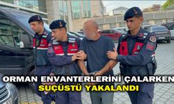 Orman envanterlerini çalarken suçüstü yakalandı