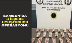 Samsun'da 3 ilçede uyuşturucu operasyonu