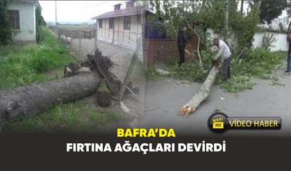 Bafra’da fırtına ağaçları devirdi