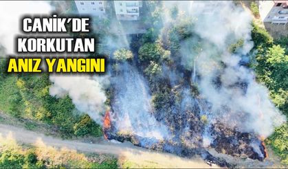 Canik'de korkutan anız yangını