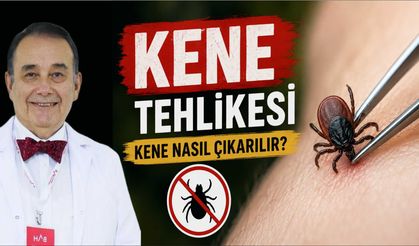 'Kene' tehlikesi; Kene nasıl çıkarılır?