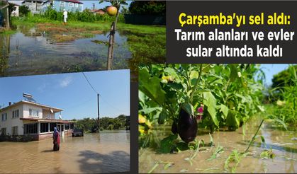 Çarşamba'yı sel aldı: Tarım alanları ve evler sular altında kaldı