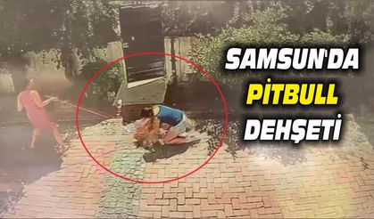 Samsun'da pitbull, Küçük kızı yere savurdu, köpeğini ise ağır yaraladı