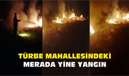 Türbe Mahallesindeki Merada Yine Yangın
