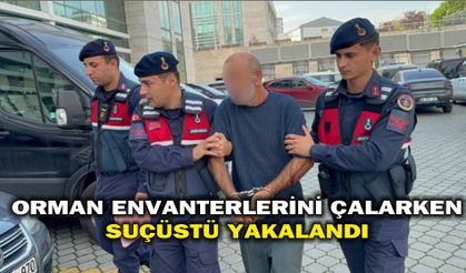 Orman envanterlerini çalarken suçüstü yakalandı