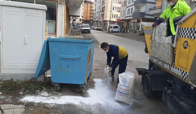 Fatsa’da çöp konteynerleri virüs tehlikesine karşı ilaçlanıyor