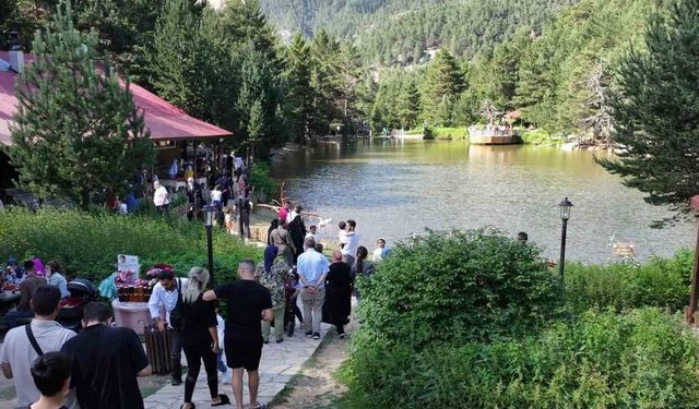 Zigana Dağı'nın serin sığınağı: Limni Gölü Tabiat Parkı