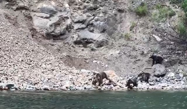 Tekne turlarında vahşi doğa keşfi!