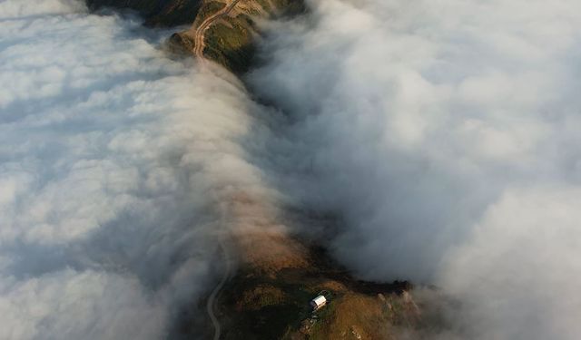 Eşsiz görüntüler: Arhavi'nin sis bulutuyla kaplanan yaylası