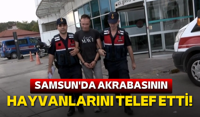 Akrabasıyla yaşadığı miras kavgasında 3 büyükbaş hayvanı vurarak telef etti