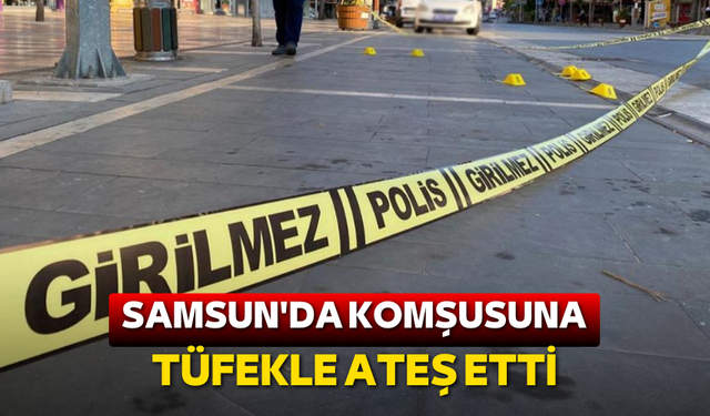 Samsun'da komşusuna tüfekli saldırı!