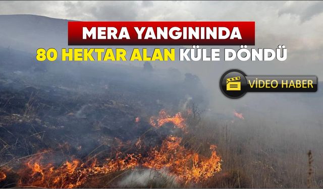 Bayburt’ta  mera yangını:  80 hektar alan küle döndü